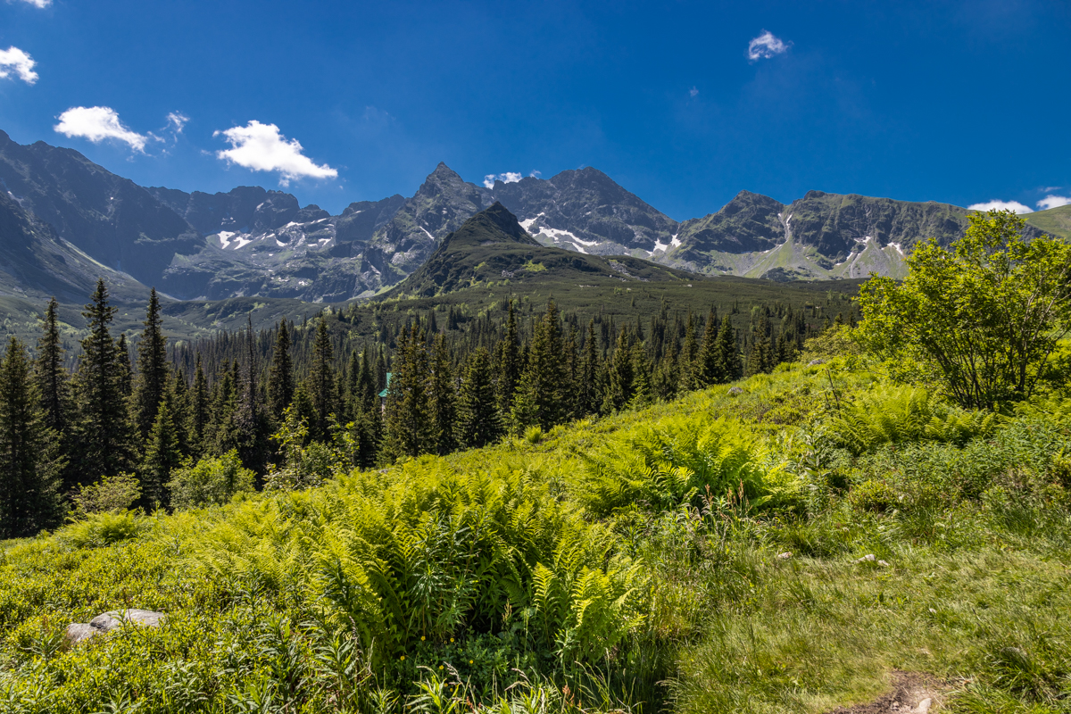 Zakopane i okolice 2020