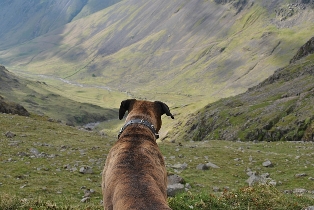 Skafell Pike 2010 r.