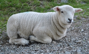 Skafell Pike 2010 r.