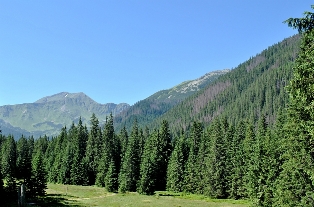 Tatry Zachodnie 2010 r.
