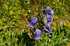 Tatry Zachodnie 2010 r.