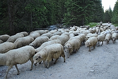Tatry Zachodnie 2010 r.