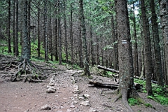 Zakopane, lipiec 2010