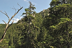 Zakopane, lipiec 2010