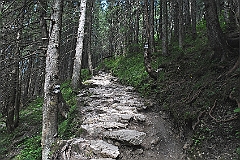 Zakopane, lipiec 2010