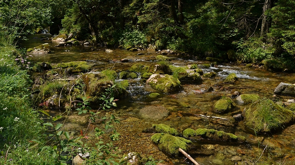 Tatry