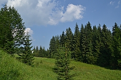 Sarnia Skała