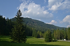 Sarnia Skała