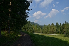Sarnia Skała