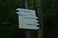 Sarnia Skała