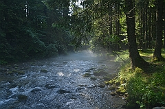 Sarnia Skała