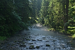 Sarnia Skała