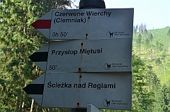 Sarnia Skała