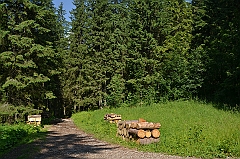Sarnia Skała