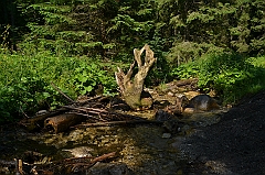 Sarnia Skała