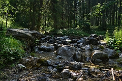 Sarnia Skała