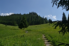 Sarnia Skała