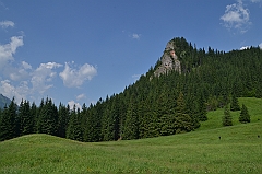 Sarnia Skała