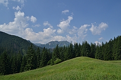 Sarnia Skała