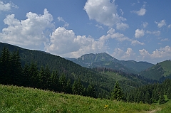 Sarnia Skała