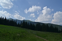 Sarnia Skała