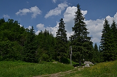 Sarnia Skała