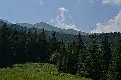 Sarnia Skała