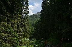 Sarnia Skała