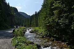 Sarnia Skała