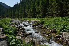 Sarnia Skała