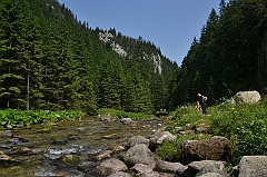 Sarnia Skała
