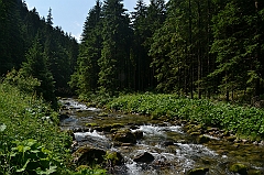 Sarnia Skała