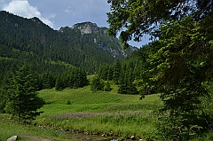 Sarnia Skała