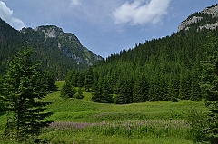Sarnia Skała
