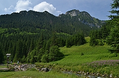 Sarnia Skała