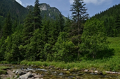 Sarnia Skała