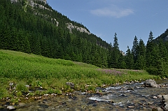 Sarnia Skała