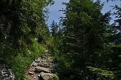 Sarnia Skała
