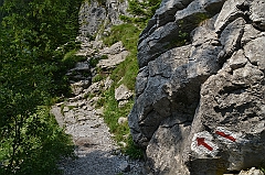 Sarnia Skała