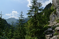 Sarnia Skała