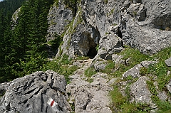 Sarnia Skała