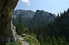Sarnia Skała