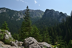 Sarnia Skała
