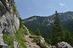Sarnia Skała