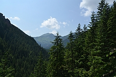 Sarnia Skała
