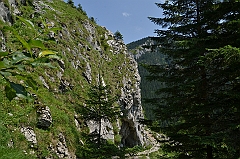Sarnia Skała