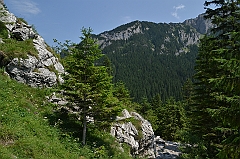 Sarnia Skała