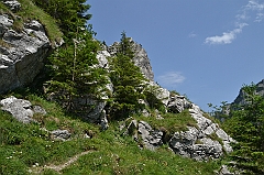 Sarnia Skała