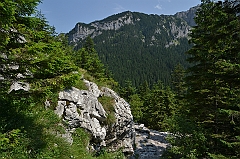 Sarnia Skała