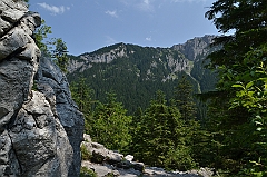 Sarnia Skała